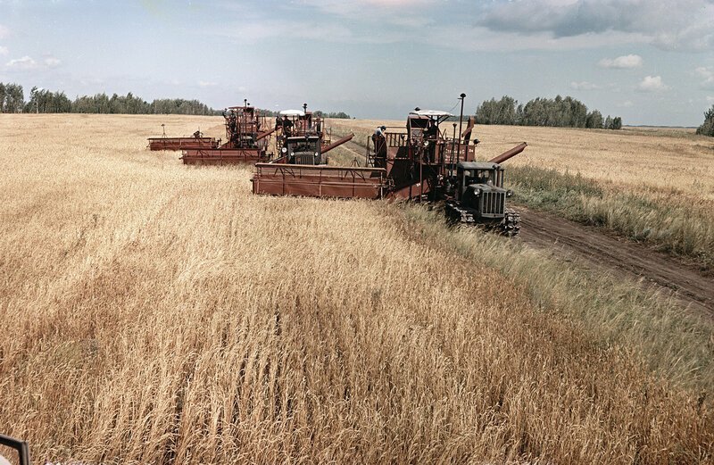 Хозяйство Свердловской области