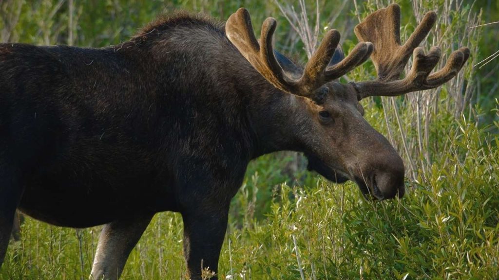 Природа Свердловской области