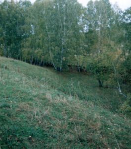 Верхняя Постникова