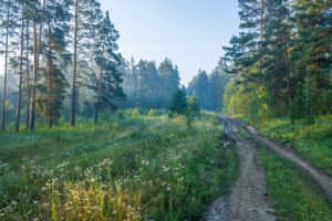 Пантелеева