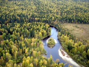 Михайловка