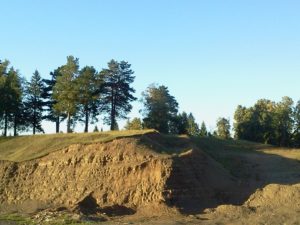 Афанасьевский