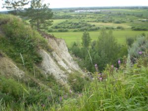 Белослудское