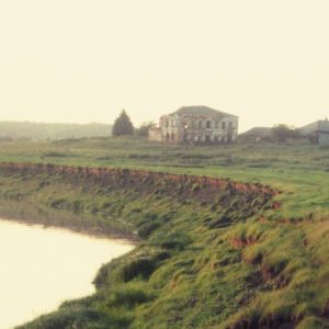 Боровикова