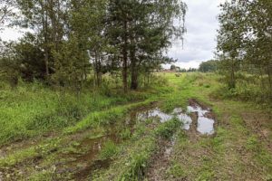 Первомайская