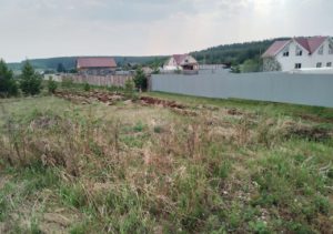 Малое Трифоново