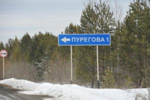 Пурегова