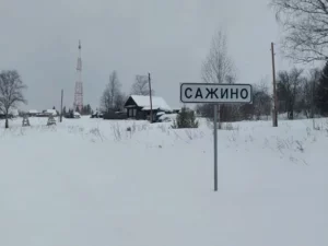Сажина