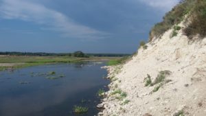 Скородумское