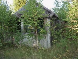 Новый Вагиль