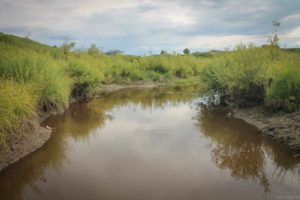 Боровлянское