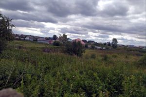 Черноусова