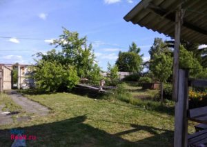 Салопаткина