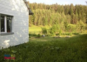 Нижнее Никитино