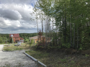 Осиновский