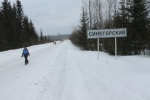 Синегорский