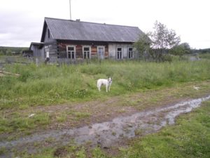 Поздняковка