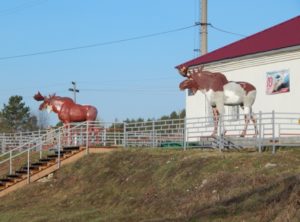 Саранинский Завод