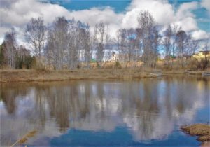 Шилкинское