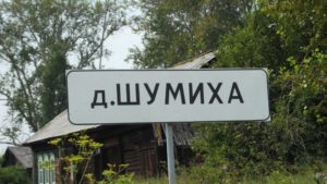 Шумиха