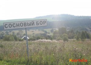 Сосновый Бор