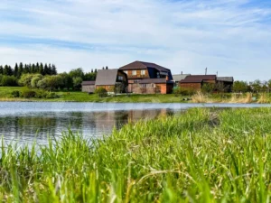 Белоносова