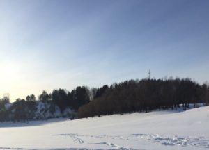 Новодеревенский