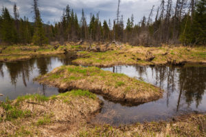 Владимировка