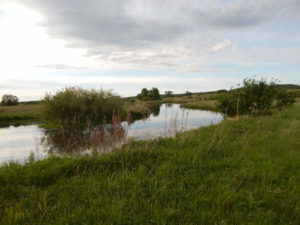 Большая Ефремова