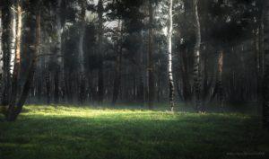 Чернавская