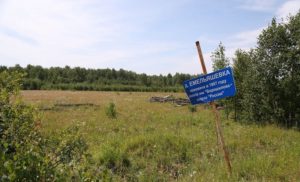 Емельяшевка