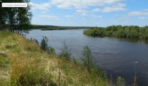 Русаковский