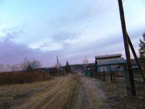 Золоторуда