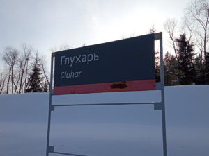 Глухарь