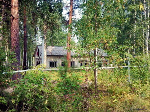 Красный Адуй