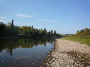 Нижняя Баская