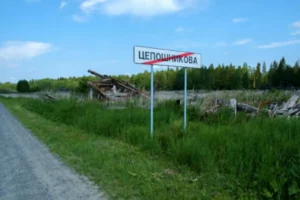 Цепошникова