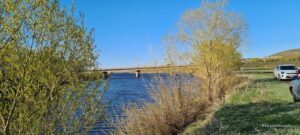 Гумбейский