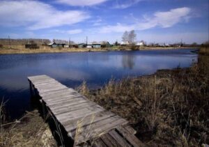 Крутолапова