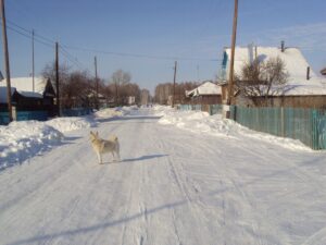 Новая Соболева