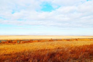 Утренняя Заря