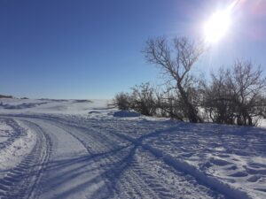 Александровка