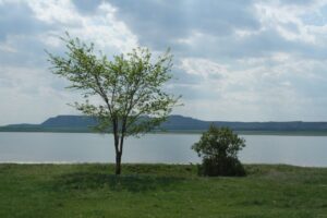 Бабарыкинский