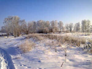 Белоглинка