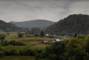 Колослейка