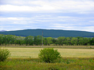 Новоурлядинский