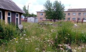 Новозаречный