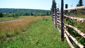 Усть-Курышка