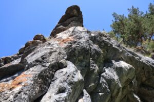 Екатериновка