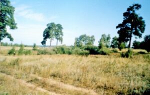 Гражданский